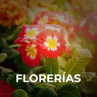 Florerías